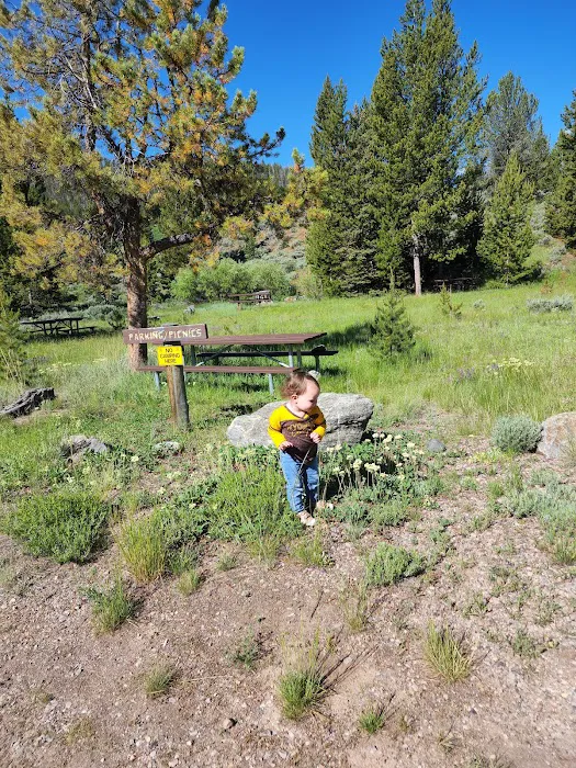 Horse Creek Campground 8