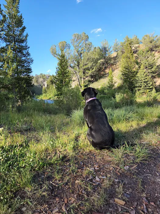 Horse Creek Campground 5