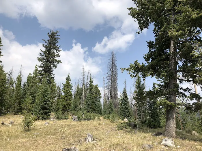 Horse Creek Campground 7