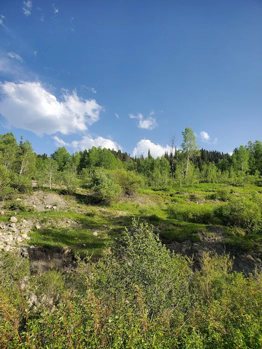 Tincup Campground 3