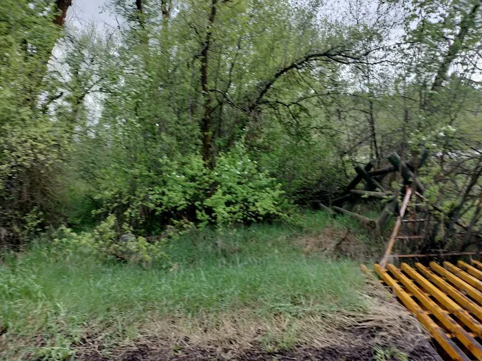 Tincup Campground 1