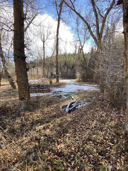 Tincup Campground 6