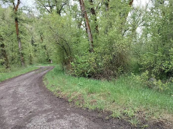 Tincup Campground 7