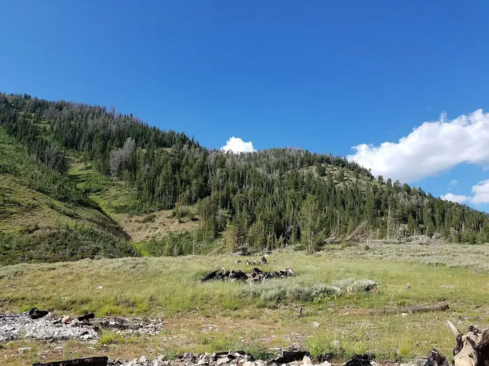 Middle Piney Lake Campground 9