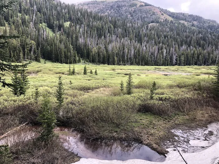 Middle Piney Lake Campground 6