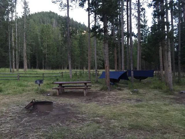 Forest Park Campground 1