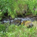 Mill Canyon Campground