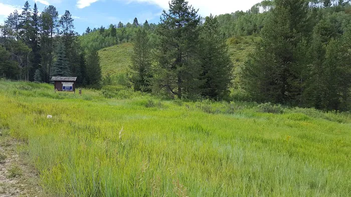 Mill Canyon Campground 3