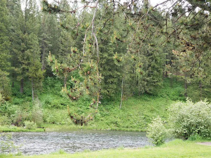 Warm River Campground 8