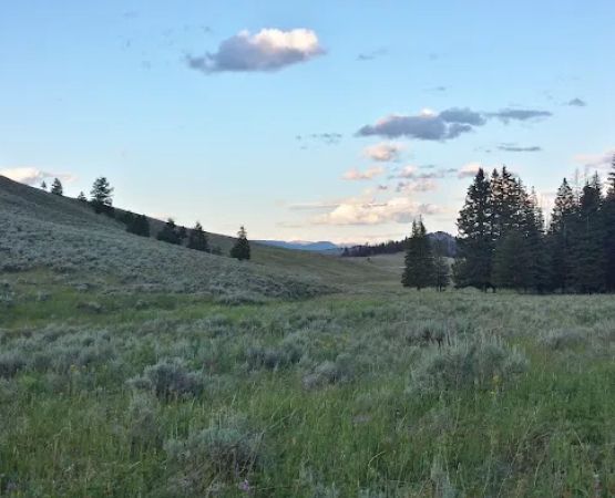 Rescue Creek