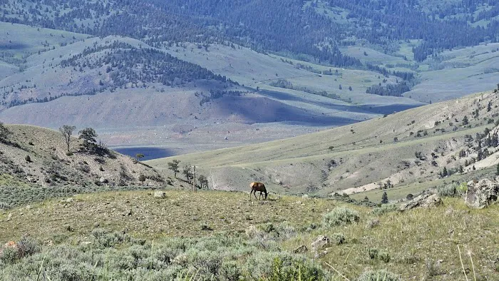 Gardner River 6
