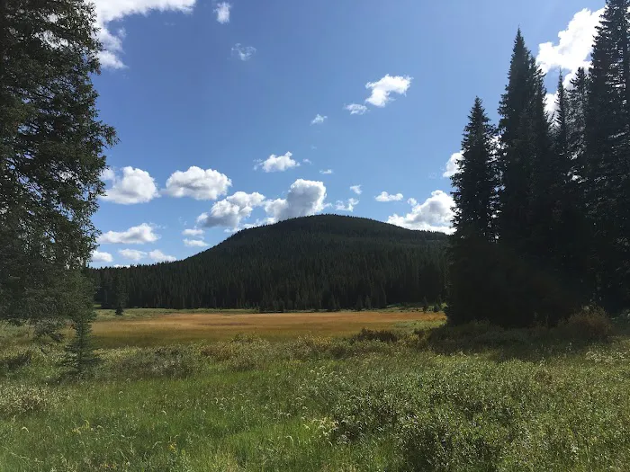 Fawn Lake 1F2 3