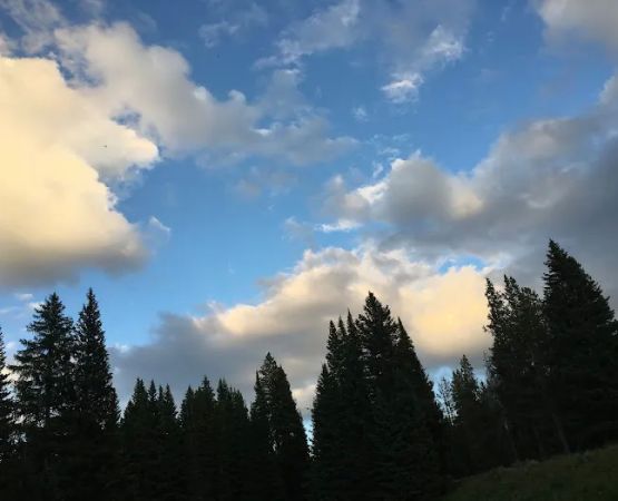 Fawn Lake 1F2