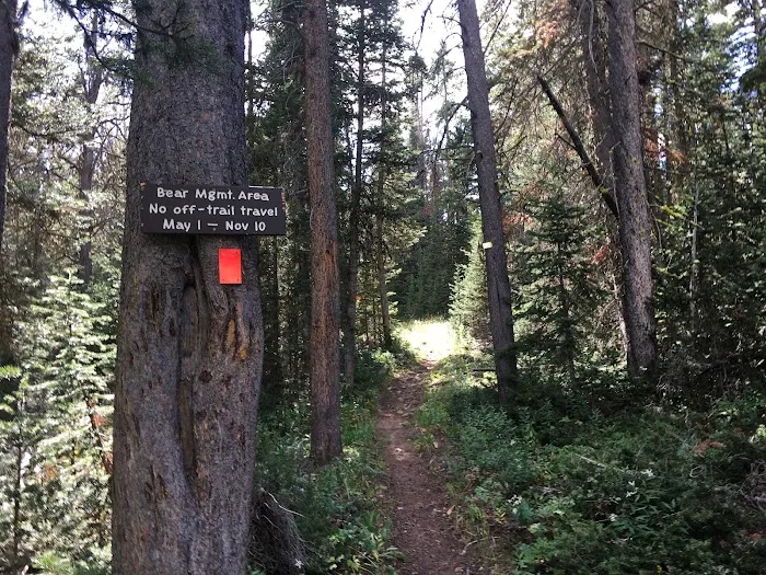 Fawn Lake 1F2 4