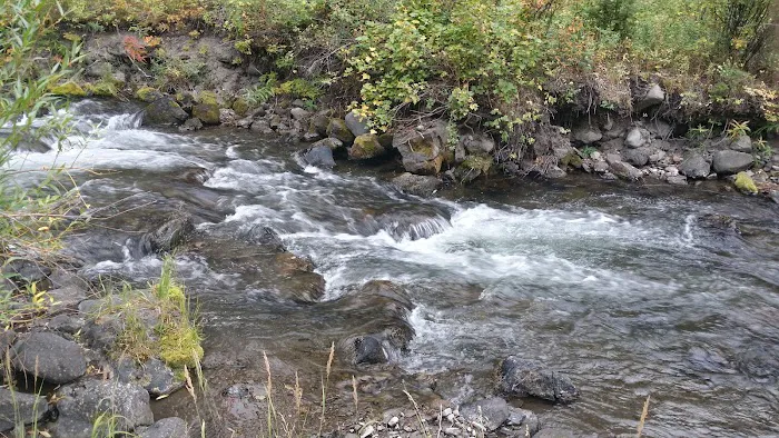 Lava Creek 7