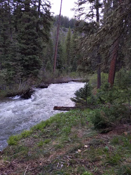 Bear Creek Campground 4