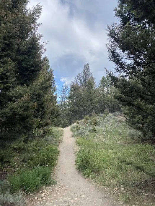 Hellroaring Creek 2h3 7