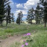 Hellroaring Creek 2h3