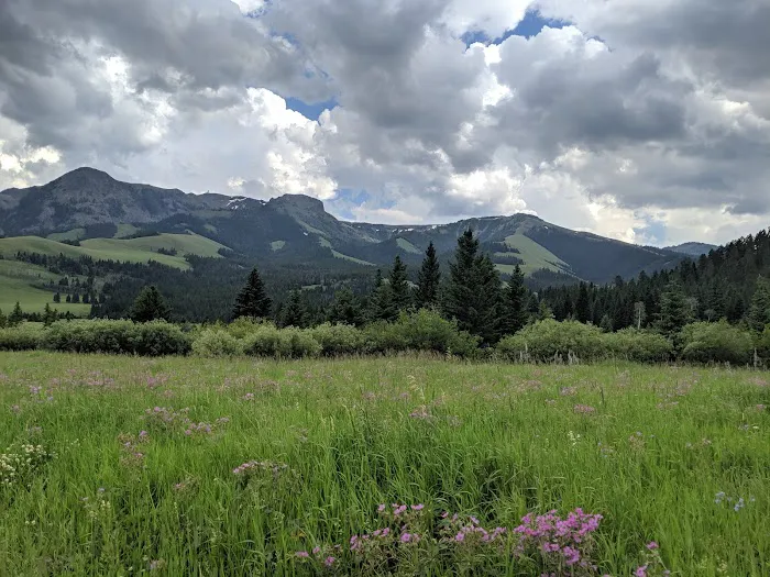 Tom Miner Campground 9