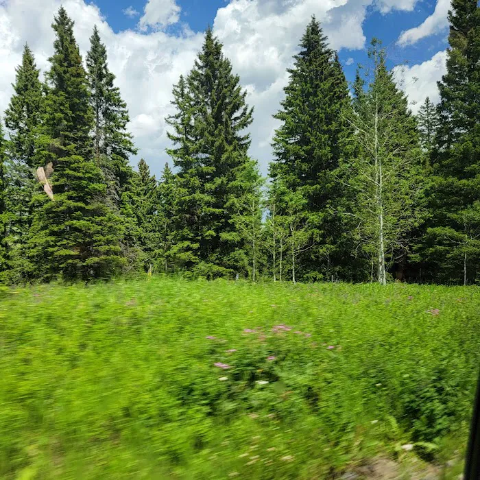 Tom Miner Campground 5