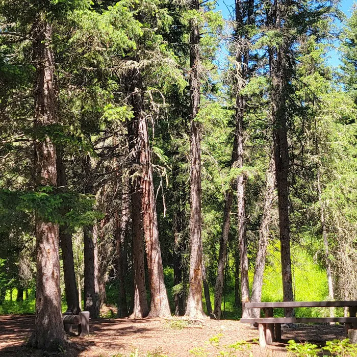 Tom Miner Campground 6