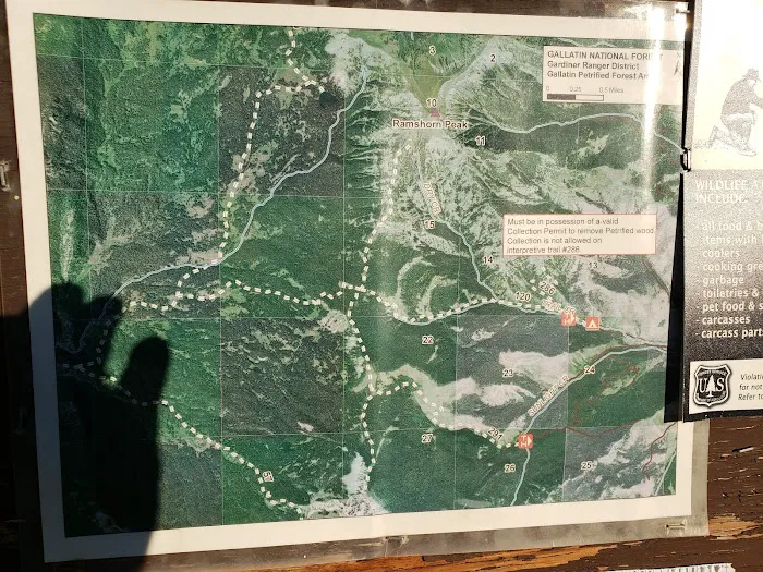Tom Miner Campground 8