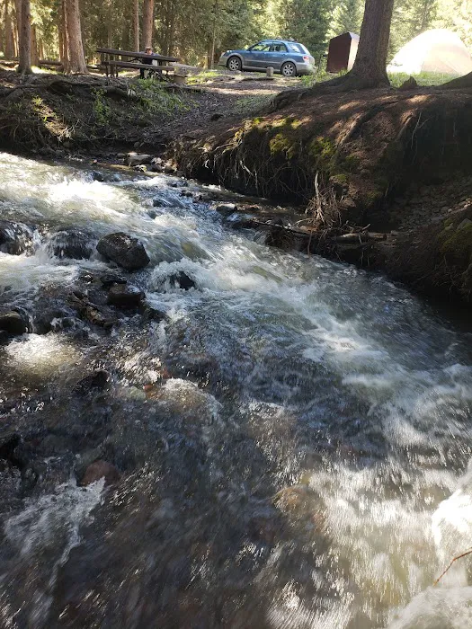 Tom Miner Campground 1