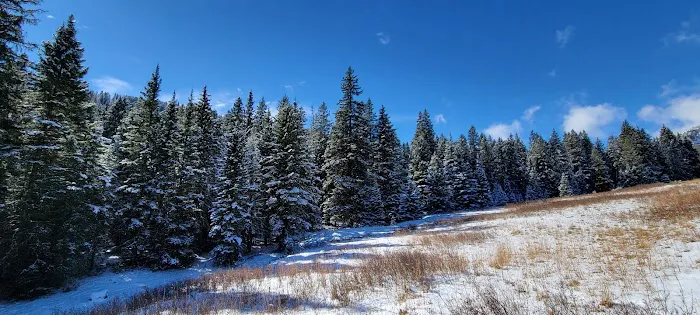Tom Miner Campground 7