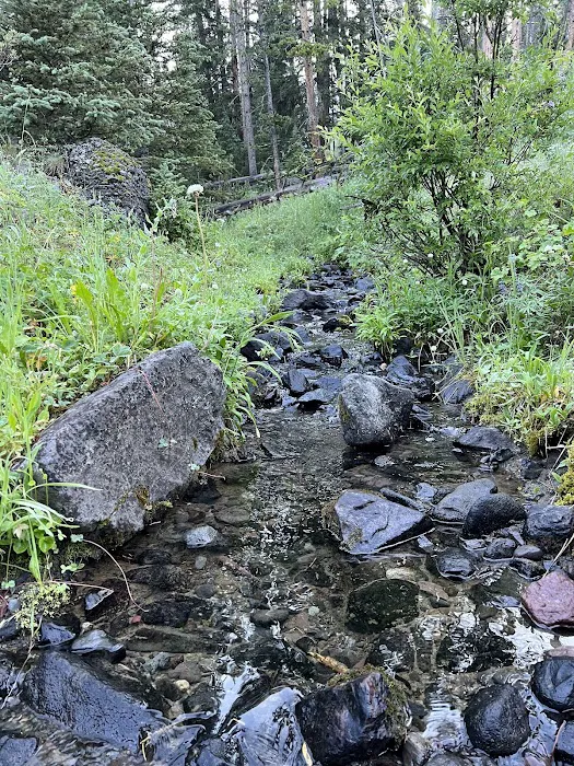 Upper Dailey Creek WF2 2