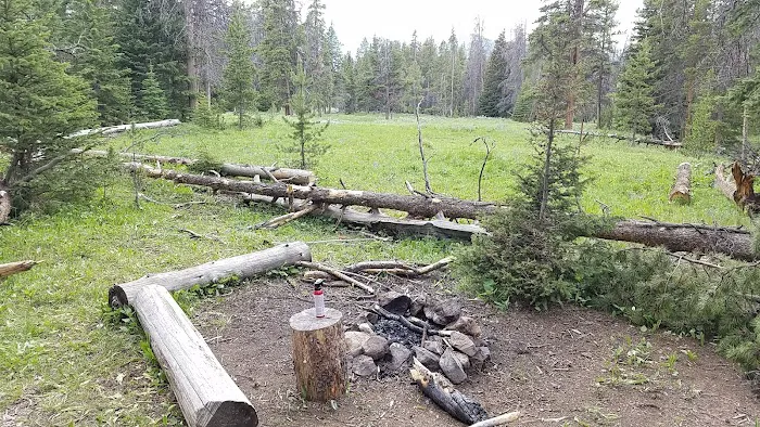 Upper Dailey Creek WF2 7