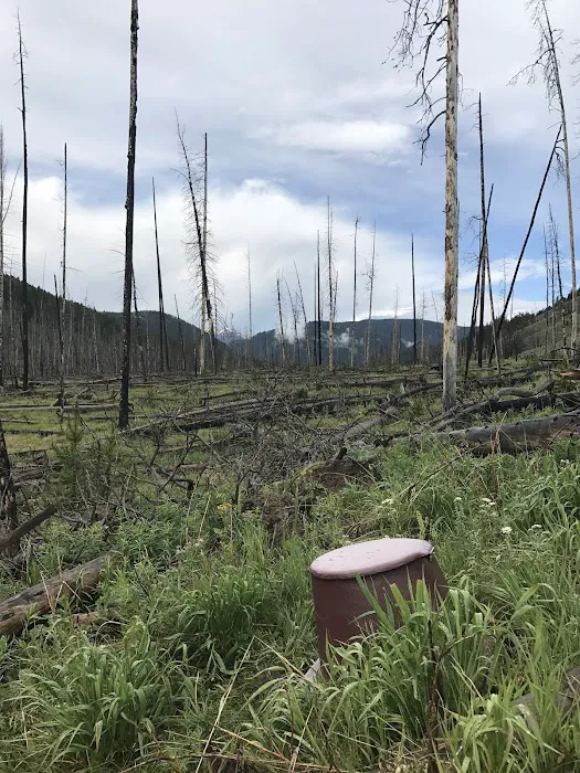 Specimen Creek Junction 0