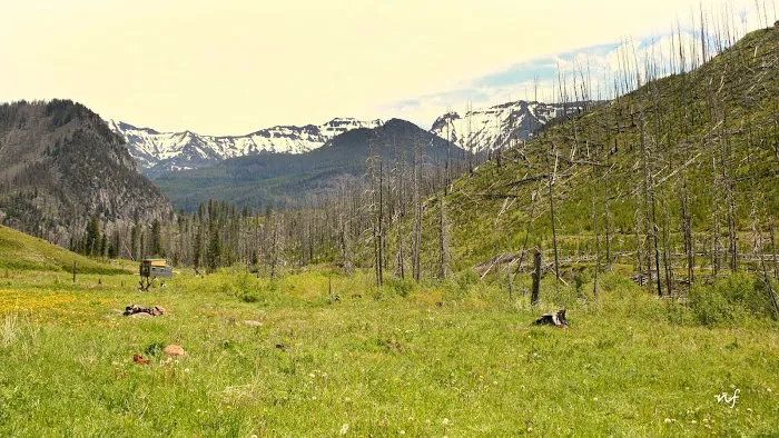 Snowbank Campground 9