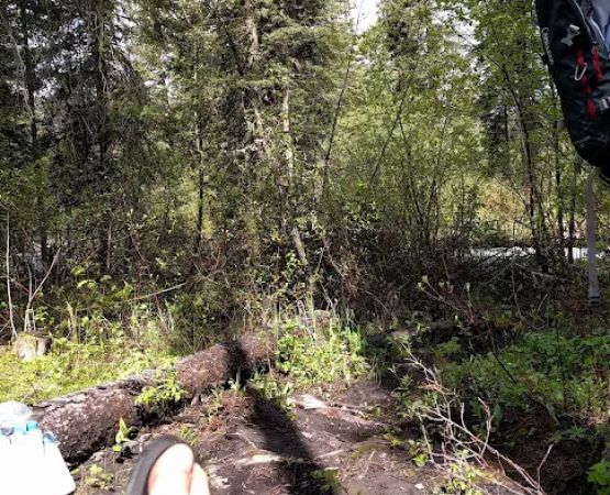 Snowbank Campground