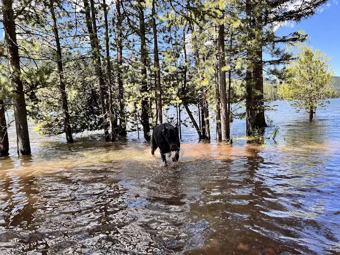 Chisholm Campground 6