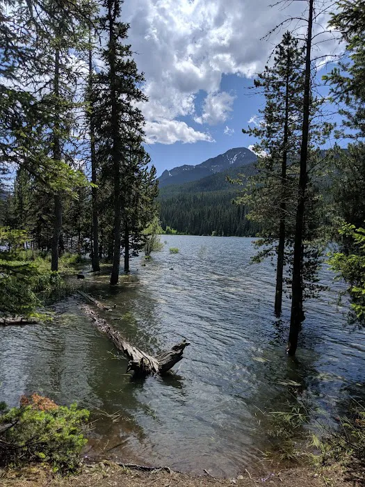 Chisholm Campground 5