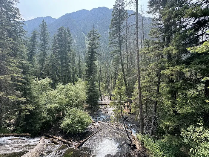 Pine Creek Campground 1