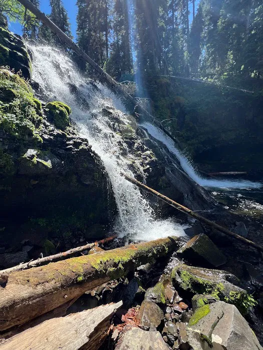 Hood Creek Campground 5