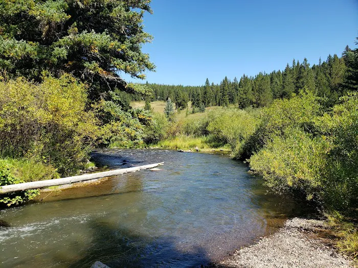 Langohr Campground 5