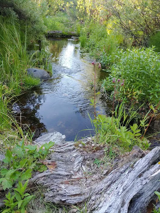 Langohr Campground 8