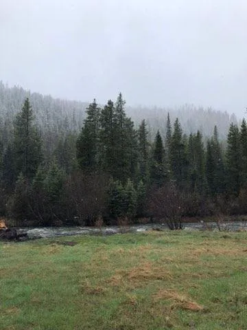 Langohr Campground 1
