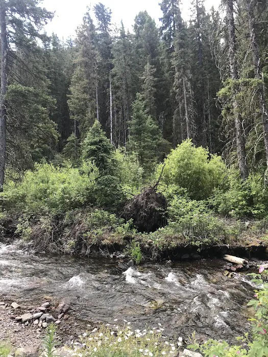 Swan Creek Campground 7