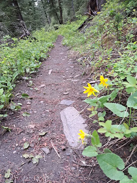 Swan Creek Campground 3