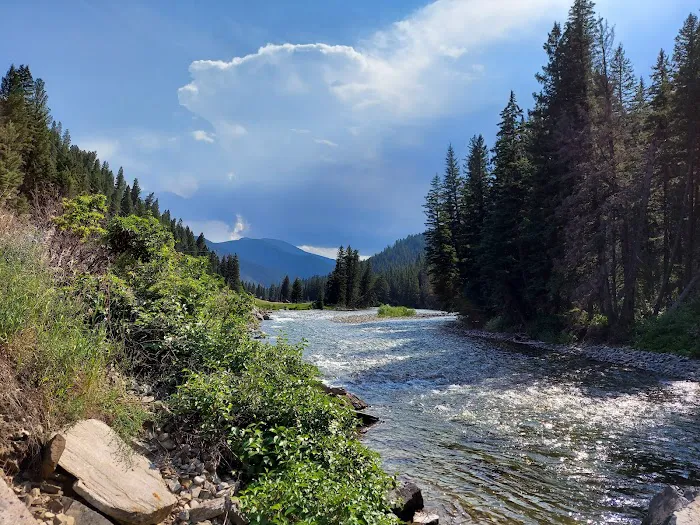 Moose Creek Group Site 4