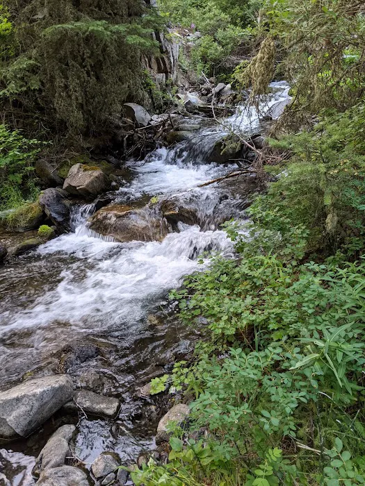 Moose Creek Group Site 1