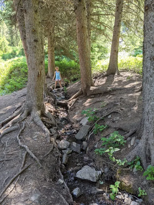Moose Creek Group Site 5