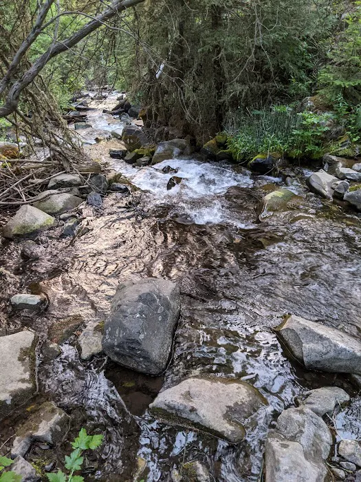 Moose Creek Group Site 0