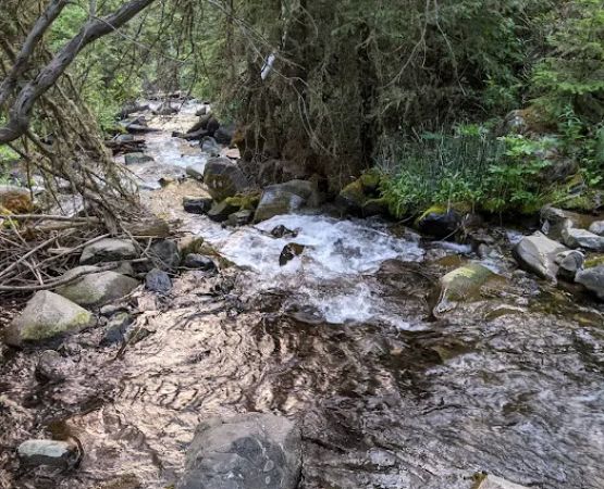 Moose Creek Group Site