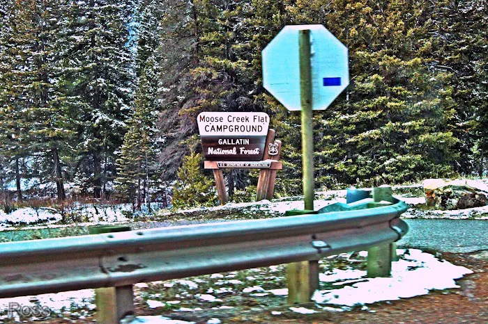Moose Creek Flat Campground 7