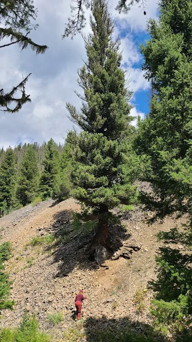 Moose Creek Flat Campground 2