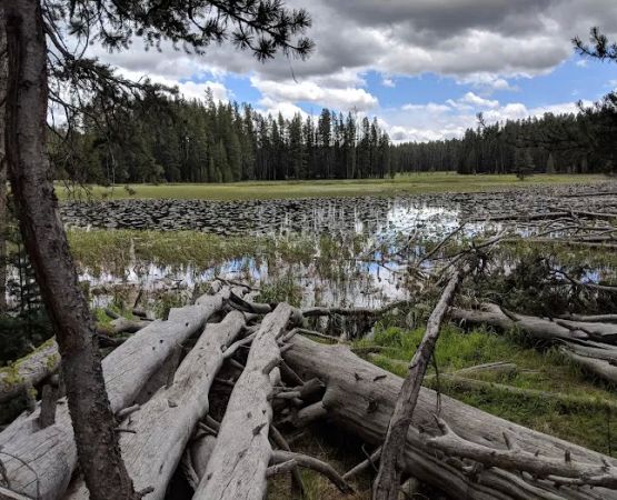 Ribbon Lake 4R1